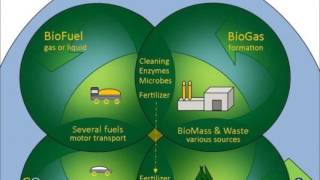 Biodiesel from Algae at Home Ideas [upl. by Bronder]