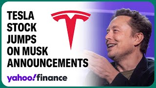 Tesla stock jumps on Elon Musks new product announcements at shareholder meeting [upl. by Ru]