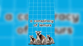 Animal group names are funny Collective nouns [upl. by Pawsner11]