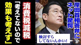 「検討すらしてないんかい！」岸田首相答弁にネット驚愕 消費税減税「考えてないので効果も考えず」 [upl. by Bathsheba]