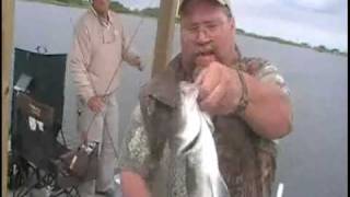 Lake Norris Striper Fishing an HB Featured Property [upl. by Amre]