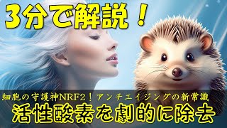 【細胞レベルの老化予防】細胞の守護神NRF2！今日からできる簡単習慣 [upl. by Jolee612]