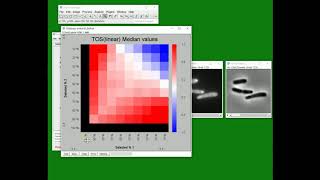 EzColocalization An ImageJ plugin for colocalization analysis with audio [upl. by Eudora702]