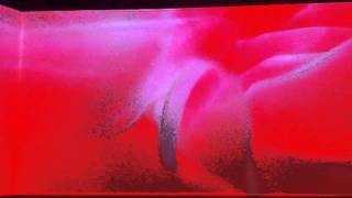 Pipilotti Rist Lobe of the Lung Part 1 [upl. by Lossa]