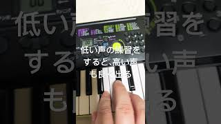 低い声の練習をすると、高い声も良く出る ボイトレ動画 piano ボイトレ music ボイストレーニング msm 声調 remix 東京ボイトレ [upl. by Enavi]