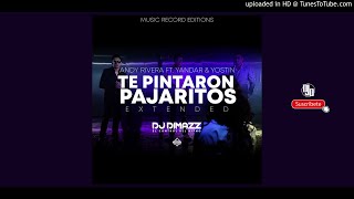 Te Pintaron Pajaritos Extended  Dj Dimazz El Control del Ritmo MRE [upl. by Methuselah]