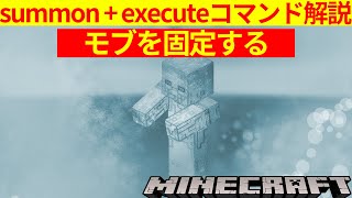 コマンド2つでモブを固定する方法【summontコマンド】【新executeコマンド】 [upl. by Wyly]