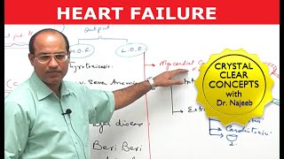 Heart Failure  Cardiac Pathology [upl. by Eanil]