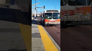 Bus Route 1 Arriving at 44 Street SE BRT Station calgary calgarytransit bus brt transit [upl. by Bronny]