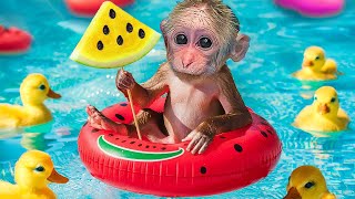 BiBi Monkey challenge with Watermelon Ice Cream Swimming Pool with Ducklings [upl. by Snider]