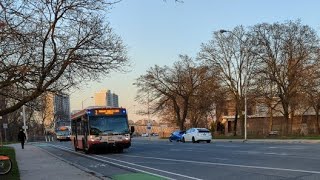 Line 2 BloorDanforth No Subway Service Between St George to Woodbine Station 🚉 [upl. by Knick968]