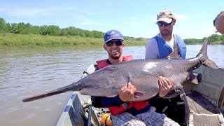 Searching for Giant Paddlefish in Montana [upl. by Heida772]