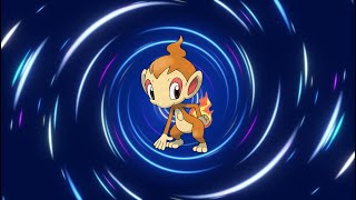 Chimchar Evolution Line [upl. by Eidnyl]