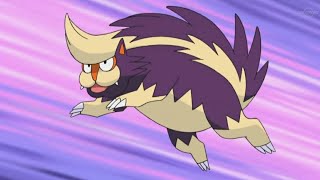 Stunky and Skuntank Pokemon all Attacks pokemon stunky skuntank all new attacks youtubevideo [upl. by Karl]