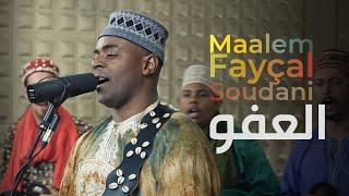 Maalem Fayçal Soudani  Laafou العفو  live studio session [upl. by Leahcimed]