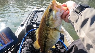 Lake Norman big spotted bass midlake and south lake [upl. by Perot]