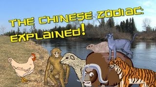 Chinese Zodiac Explained  Learn Chinese Now [upl. by Hammel]