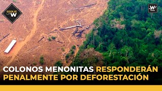 Colonos menonitas responderán penalmente por deforestación  Sigue La W  La W [upl. by Yhtommit]