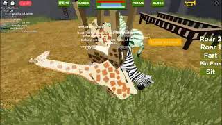 a ball of animals  playbox safari roblox [upl. by Ethe379]