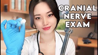 ASMR The Cranial Nerve Exam [upl. by Eekcaj]