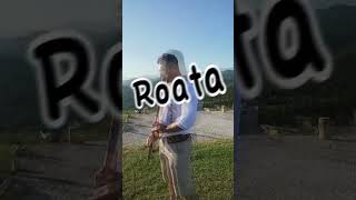 bass shorts shortvideo short Ciubo  Roata romania dj remix 2024 drop hora remix [upl. by Flavia]