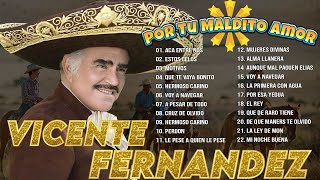 Vicente Fernández  A Pesar de Todo  20 Vicente Fernandez Exitos MixRancheras Y Corridos Mexicanas [upl. by Ydnim]