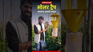 Protect your crops with advanced solar trap ।। Integrated pest management solartrap [upl. by Aicekan]