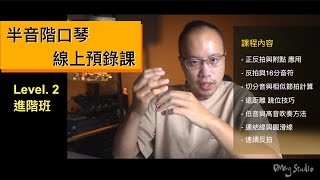 半音階口琴進階班 Lv2 線上預錄課程！帶你用簡單的流行歌片段學習吹奏與看譜技能！就可以網路找譜自己吹啦～｜ DMing Studio [upl. by Omoj]