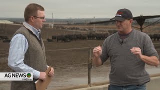 THIS is why the US Heifer Retention Remains Low  Insights from Feedlot Owner [upl. by Tamas]