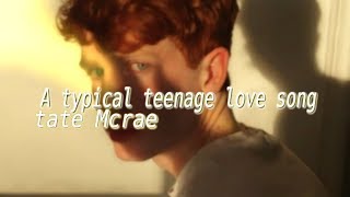 A Typical Teenage Love Song  1 Hour Loop [upl. by Roehm]