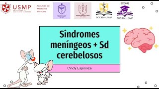 Medicina 1  Sesión 13  Síndromes meníngeos  Sd cerebelosos  Cindy Espinoza  20242 [upl. by Adnuahs155]