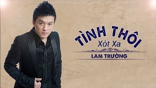 Tình Thôi Xót Xa  Lam Trường Official Music [upl. by Arretak]