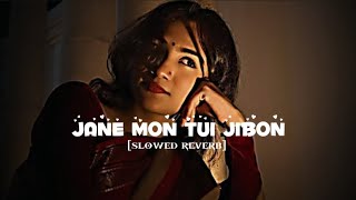 jane mon tui jibon slowed reverb lll 🥰lofi songlofiking10M trending viral video [upl. by Mcgill]