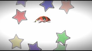 9 minutes of a very excited ladybug [upl. by Armin]