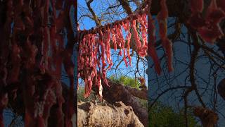 Drying Meat at Hadzabe village meal africantribe africa [upl. by Alaster]