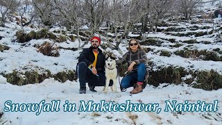 Mukteshwar Nainital Snowfall in Uttarakhand [upl. by Eceer639]