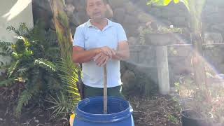 Como Hacer Fertilizantes Líquidos con Sulfato de Calcio fertilizantes agriculture platanos [upl. by Bryan]