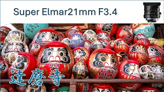 【4K】Leica M10D Super Elmar 21mm F34 Darumaji [upl. by Trahurn110]