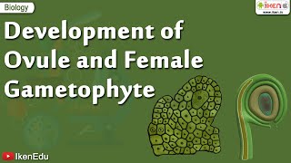 Biology Of Plants  Learn About Ovule and Gametophyte  iKen  iKen Edu  iKen App [upl. by Vasquez]