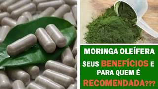 Moringa Oleífera Para que Serve  Benefícios e onde Comprar  Chá de Moringa em Caps [upl. by Einaj]