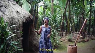 Experience a Chagga Hut  Kilimanjaro Tanzania [upl. by Marko]