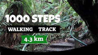 1000 Steps Dandenong Ranges National Park Victoria [upl. by Earesed]