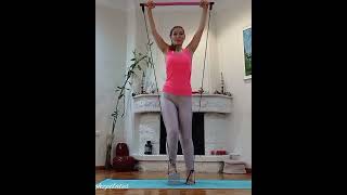 Pilates Bar Exercises for Flexibility and Balance pilateshomeworkout pilatesbarworkout [upl. by Aremaj]