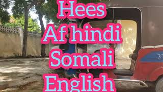 HEES AF SOMALI HINDIENGLISH [upl. by Connelly]