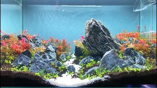 TUTORIAL BRAZILIAN STYLE AQUASCAPE 60P PART 2 [upl. by Edlun]