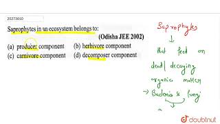 Saprophytes in an ecosystem belongs to [upl. by Bohner889]