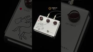 Ceriatone  CENTURA Silver  Strato  ペダルの違いがわかる動画  中古楽器専門店 Qsic [upl. by Drape]