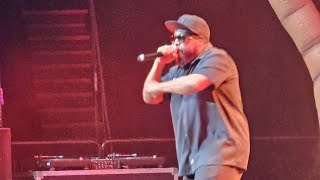 Ice cube Abbotsford 2024 live moment when cube got the necklace thrown by a fan [upl. by Dodson846]