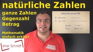 natürliche Zahlen amp ganze Zahlen  Mathematik  einfach erklärt  Lehrerschmidt [upl. by Kal]