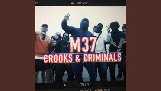 Crooks N Criminals [upl. by Anasxor467]